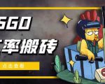 外面9800的CSGO汇率搬砖项目，一个月轻松赚几千【选品软件+详细教程】-6688资源库