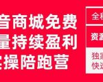 抖音商城搜索持续盈利陪跑成长营，抖音商城搜索从0-1、从1到10的全面解决方案-6688资源库