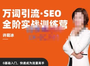 许茹冰·万词引流-SEO全阶实战训练营,0基础入门,快速成为流量高手-6688资源库