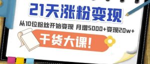 21天精准涨粉变现干货大课:从10位粉丝开始变现月增5000+变现20w+-6688资源库
