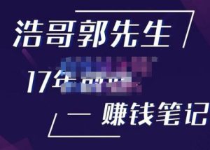 浩哥郭先生17年创业赚米笔记,打开你对很多东西的认知,让你知道原来赚钱或创业不单单是发力就行-6688资源库