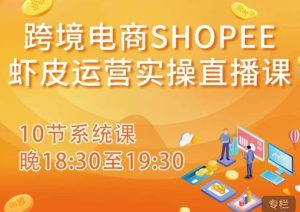 跨境电商Shopee虾皮运营实操直播课，从零开始学，入门到精通（10节系统课）-6688资源库