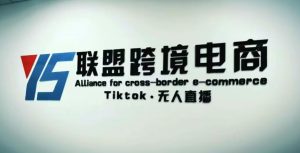YS联盟·Tiktok无人直播，不出镜不剪辑不拍摄不发货无售后的跨境短视频躺赚玩法-6688资源库