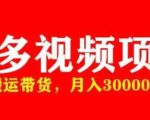 多多带货视频快速50爆款拿带货资格，搬运带货，月入30000【全套脚本+详细玩法】-6688资源库