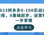 2023拼多多0-100实战运营教程,0基础起步,运营知识一手掌握-6688资源库