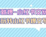 一写就爆-小红书文案课：带你玩转小红收爆文写作（45节课）-6688资源库