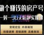 刘广标·同城房产号线上陪跑课，拍摄、剪辑、写文案、直播，做一个具有潜力价值的房产号-6688资源库