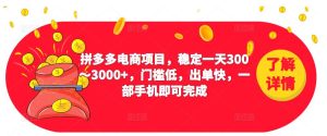 2023拼多多电商项目，稳定一天300～3000+，门槛低，出单快，一部手机即可完成-6688资源库