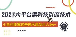 大平台黑科技引流技术，小白也能靠这些技术混到月入1w+(2022年的课程）-6688资源库
