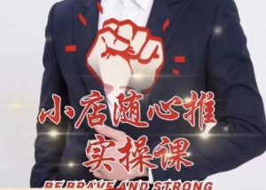 随心推线上课，小店随心推的投放逻辑，投放技巧，快速打标签-6688资源库