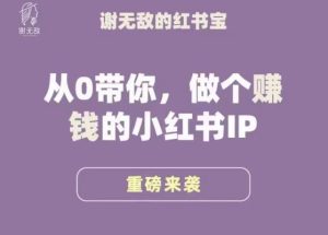 谢无敌·小红书运营大宝典，从0带你做个赚钱的小红书IP-6688资源库