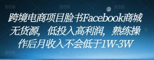 跨境电商项目脸书Facebook商城无货源,低投入高利润,熟练操作后月收入不会低于1W-3W-6688资源库