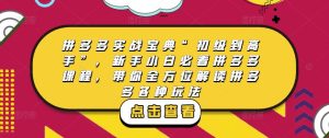 拼多多实战宝典“初级到高手”，新手小白必看拼多多课程，带你全方位解读拼多多各种玩法-6688资源库