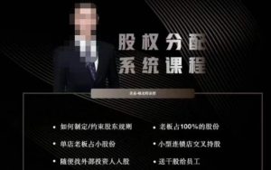 韩老师聊美业-美业股权分配系统课程，如何制定约束股东规则+老板占100%的股份+单店老板占小股份等-6688资源库