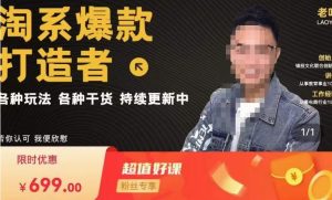 锋投老叶全店动销,淘系干货汇总,各种玩法,淘系爆款打造者-6688资源库