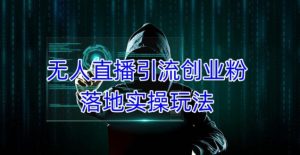 外面收费3980的无人直播引流创业粉落地实操玩法，单日引100+精准创业粉-6688资源库