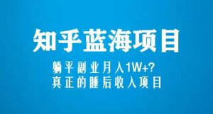 知乎蓝海玩法，躺平副业月入1W+，真正的睡后收入项目（6节视频课）-6688资源库