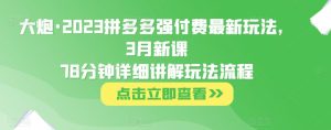 大炮·2023拼多多强付费最新玩法，3月新课​78分钟详细讲解玩法流程-6688资源库