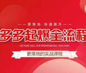 互力-多多新品打爆全流程，拼多多14天拉搜索自然流量，更落地·快速提升-6688资源库