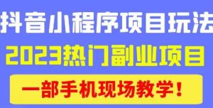 抖音小程序9.0新技巧，2023热门副业项目，动动手指轻松变现-6688资源库