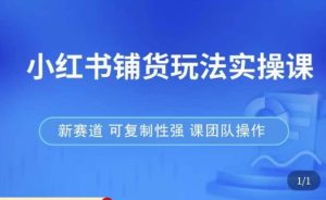 小红书铺货玩法实操课，流量大，竞争小，非常好做，新赛道，可复制性强，可团队操作-6688资源库