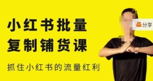 张宾·小红书批量复制铺货课，小红书0-1快速起号变现玩法，抓住小红书的流量红利（更新2023年3月）-6688资源库