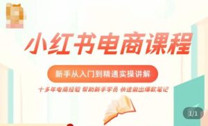 小红书电商新手入门到精通实操课，从入门到精通做爆款笔记，开店运营-6688资源库