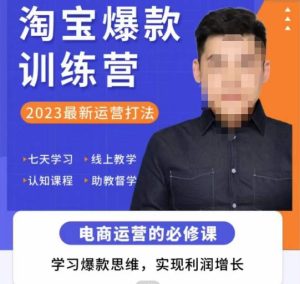 爱上黄昏·淘宝爆款训练营，2023最新运营打法，学习爆款思维，实现利润增长-6688资源库