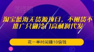 淘宝蓝海无货源项目，不囤货不推广只做冷门高利润代发，花一半时间赚10倍钱-6688资源库