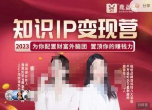 鹿盈盈-知识IP变现实操营，​普通人可复制的知识产品落地实操课，​带你打通知识IP变现底层逻辑-6688资源库