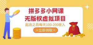 黄岛主·拼多多小网课无版权虚拟项目分享课：起店之后每天100-200收入-6688资源库