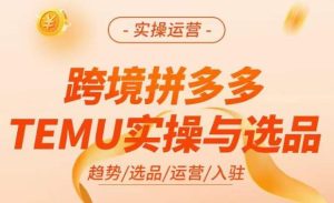跨境拼多多TEMU实操与选品，​掌握平台运营方法技巧，选品避坑12条标准，爆款的底层思路等-6688资源库