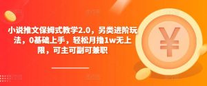 小说推文保姆式教学2.0，另类进阶玩法，0基础上手，轻松月撸1w无上限，可主可副可兼职-6688资源库