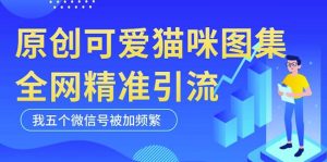 黑科技纯原创可爱猫咪图片，全网精准引流，实操5个VX号被加频繁-6688资源库