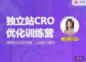独立站CRO优化训练营，掌握独立站设计秘籍，打造高转化的独立站，让店铺ROI翻倍-6688资源库