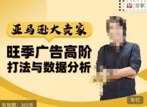 阿甘·亚马逊大卖家广告高阶打法与数据分析，走出传统广告误区；揭秘大卖惯用打法；数据驱动广告决策-6688资源库