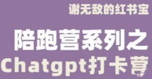 谢无敌ChatGPT打卡营，教你更好地使用ChatGPT来提高工作效率-6688资源库