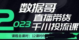 数据哥2023直播电商巨量千川付费投流实操课，快速掌握直播带货运营投放策略-6688资源库