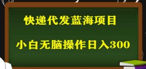 2023最新蓝海快递代发项目，小白零成本照抄也能日入300+-6688资源库