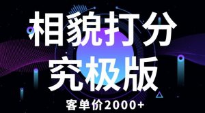 相貌打分究极版，客单价2000+纯新手小白就可操作的项目-6688资源库