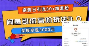 亲测日引50+精准粉，闲鱼引流高阶玩法3.0，实操变现3000元【揭秘】-6688资源库