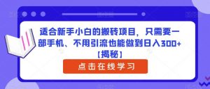 适合新手小白的搬砖项目，只需要一部手机、不用引流也能做到日入300+【揭秘】-6688资源库