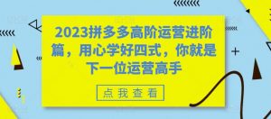2023拼多多高阶运营进阶篇，用心学好四式，你就是下一位运营高手-6688资源库