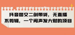 抖音图文二创带货,无直播,不剪辑,一个闷声发大财的项目【揭秘】-6688资源库