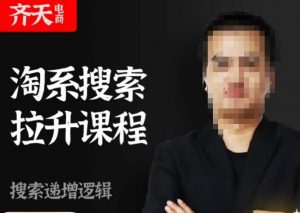齐天电商·淘系搜索提升课程,搜索递增标准化,动销标准化流程-6688资源库