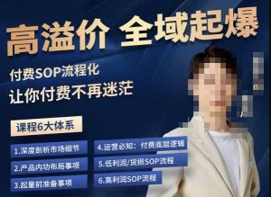 逸风-拼多多高溢价全域起爆，6大课程体系，付费玩法全套实操-6688资源库