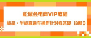 松鼠会电商VIP教程：松鼠《付费推广标品·半标直通车操作针对性答疑&诊断》-6688资源库