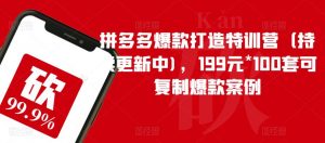 拼多多爆款打造特训营（持续更新中)，199元*100套可复制爆款案例-6688资源库