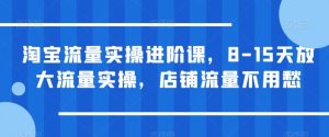 淘宝流量实操进阶课，8-15天放大流量实操，店铺流量不用愁-6688资源库