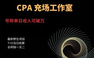 cpa充场工作室，号称单日收入10000+（揭秘）-6688资源库